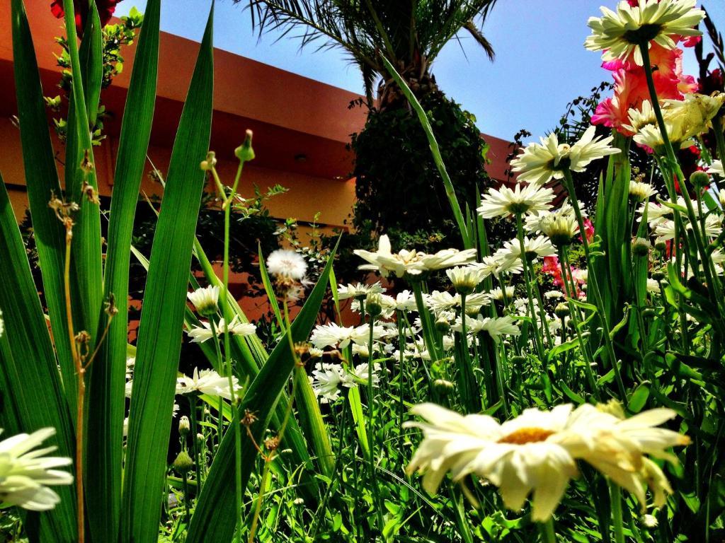 Chrissas Apartments Rethymnon Exterior foto